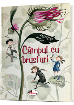 Câmpul cu brusturi	