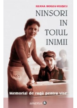 Ninsori in toiul inimii