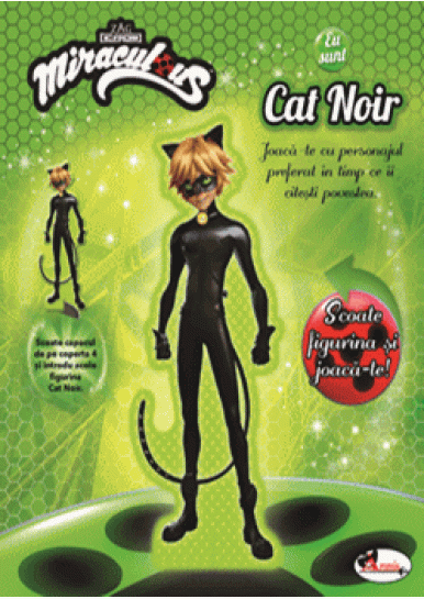 Eu sunt Cat Noir
