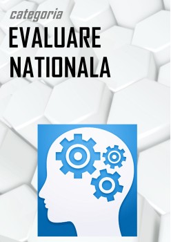 Evaluari nationale